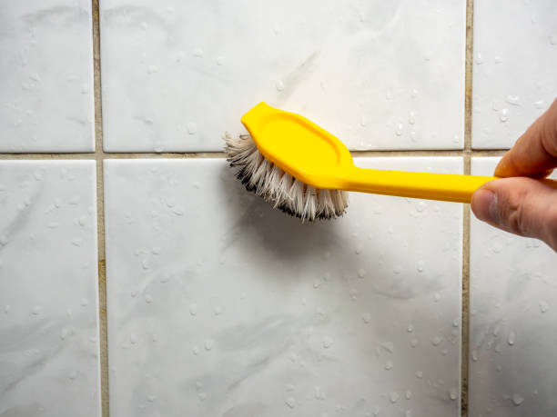 Professional Mold Removal in Heyworth, IL