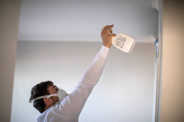 Best Crawl Space Mold Removal  in Heyworth, IL