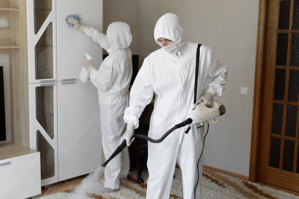 Best Toxic Mold Removal  in Heyworth, IL