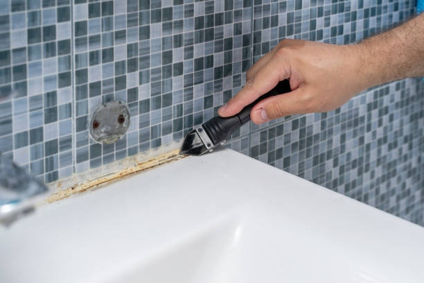 Best Mold Removal Near Me  in Heyworth, IL
