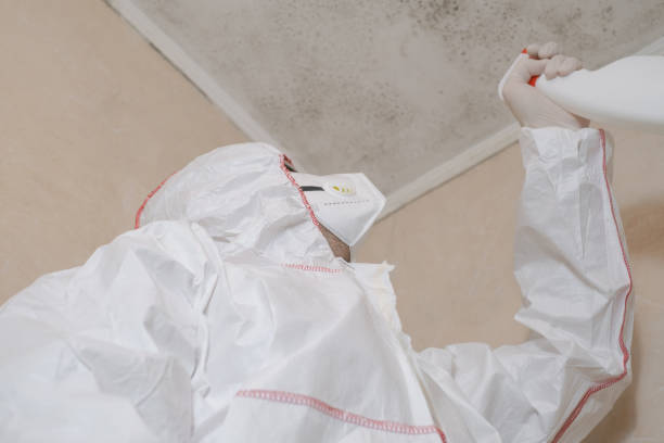 Best Home Mold Removal  in Heyworth, IL
